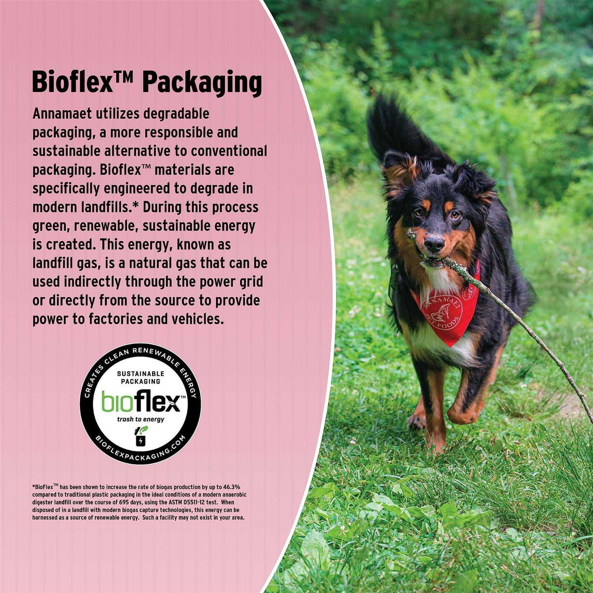 Sensitive Skin & Stomach Dry Dog Food W4596