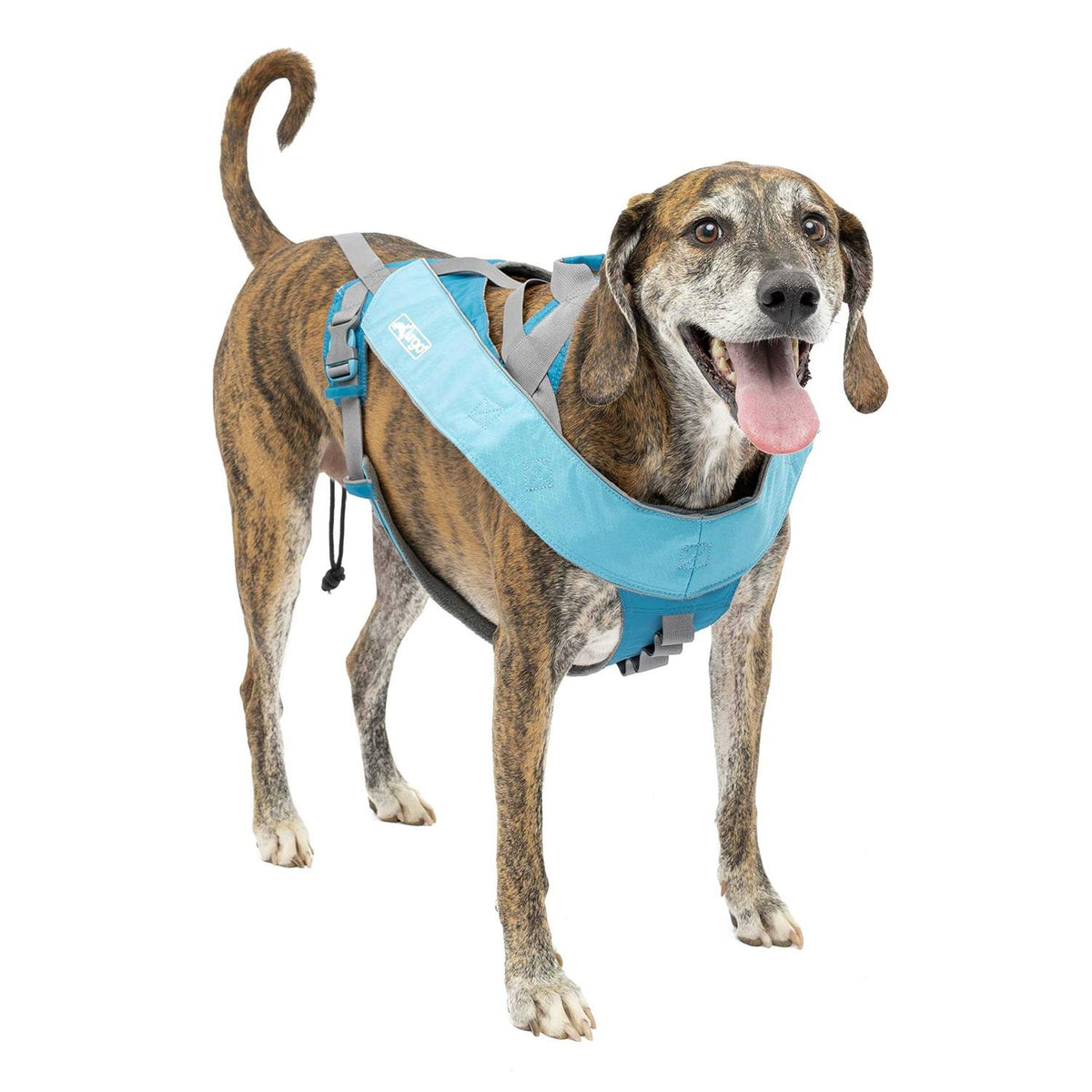 Dog Harness Y23081