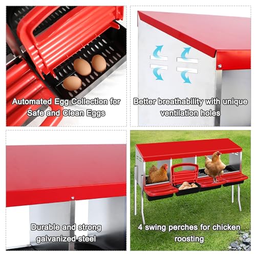 4 Compartment Heavy Duty Chicken Nesting Boxes with Perch D840