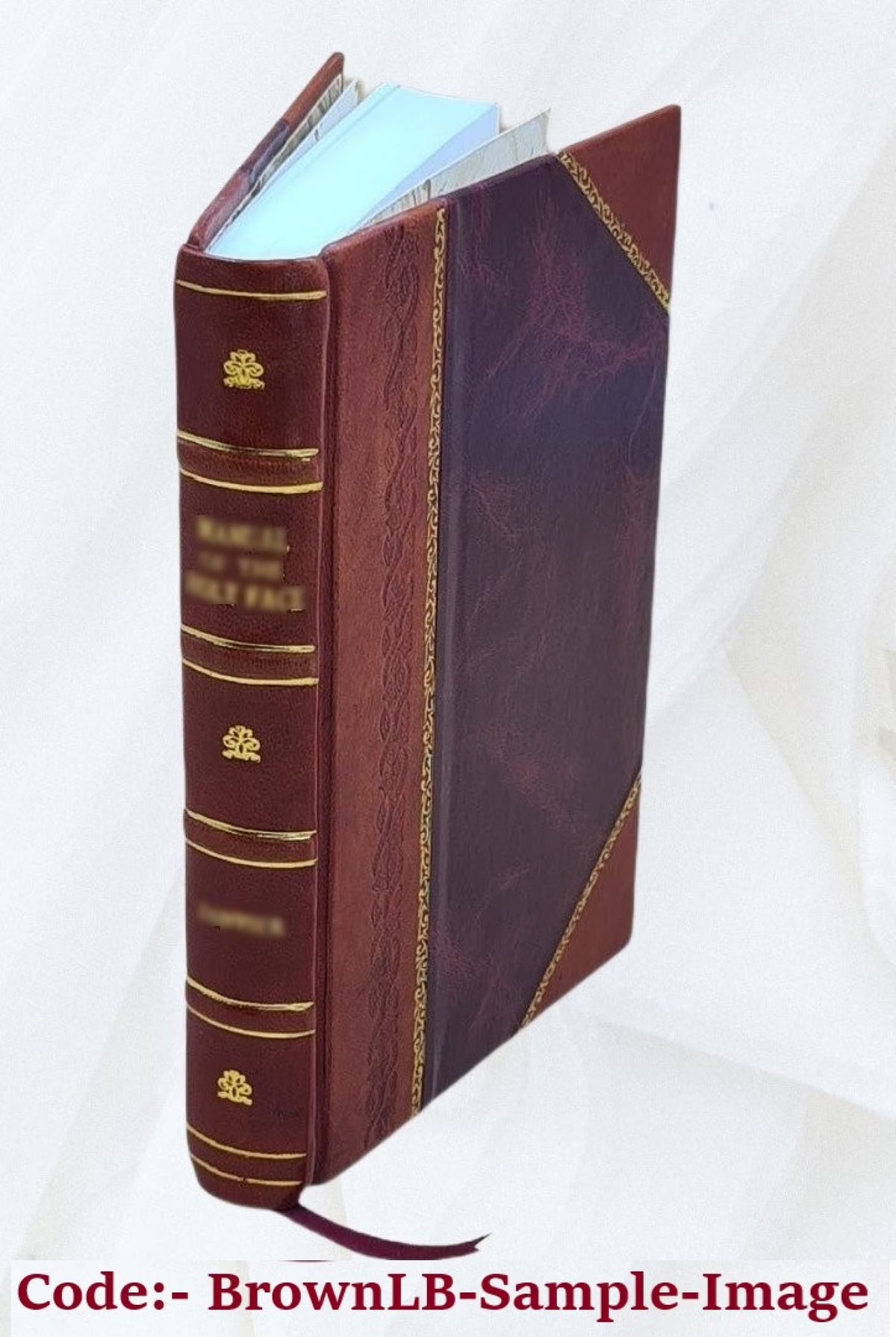 Leather Bound Book Z9006