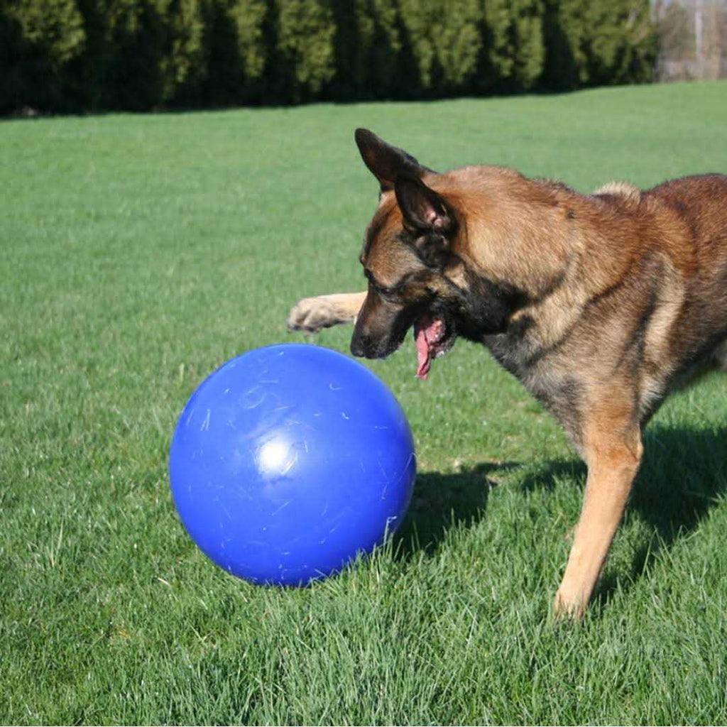 Push n Play Ball C184214