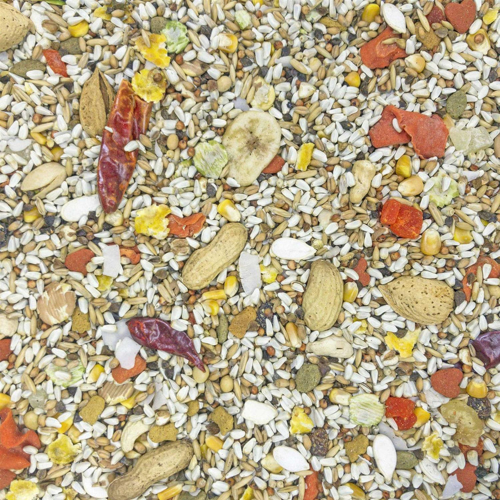 Safflower Gold Parrot Food X254