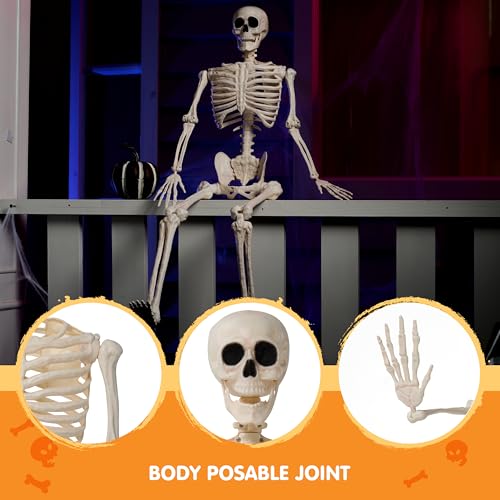 36" Posable Hanging Skeleton T746814