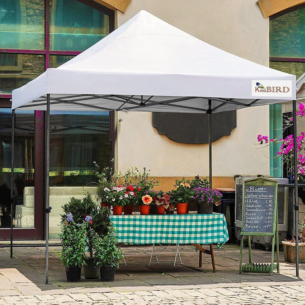 10'x10' Heavy Duty Waterproof Pop Up Canopy Tent with Roller Bag F833