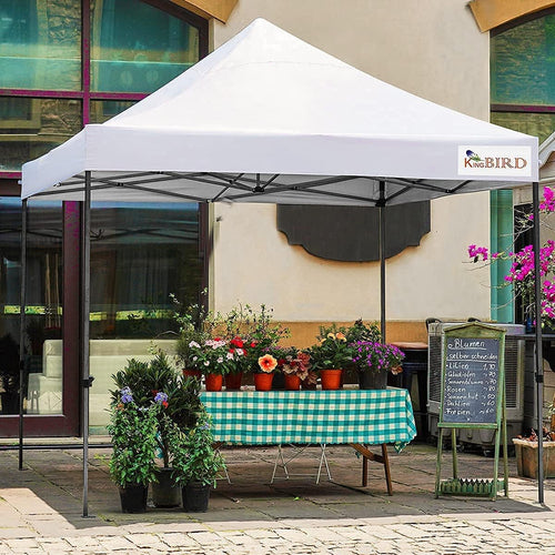 10'x10' Heavy Duty Waterproof Pop Up Canopy Tent with Roller Bag F833
