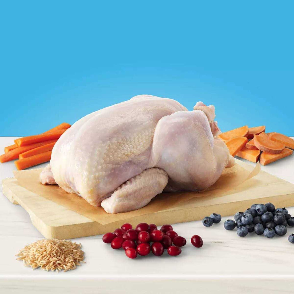 Natural Chicken Indoor Adult Dry Cat Food X215