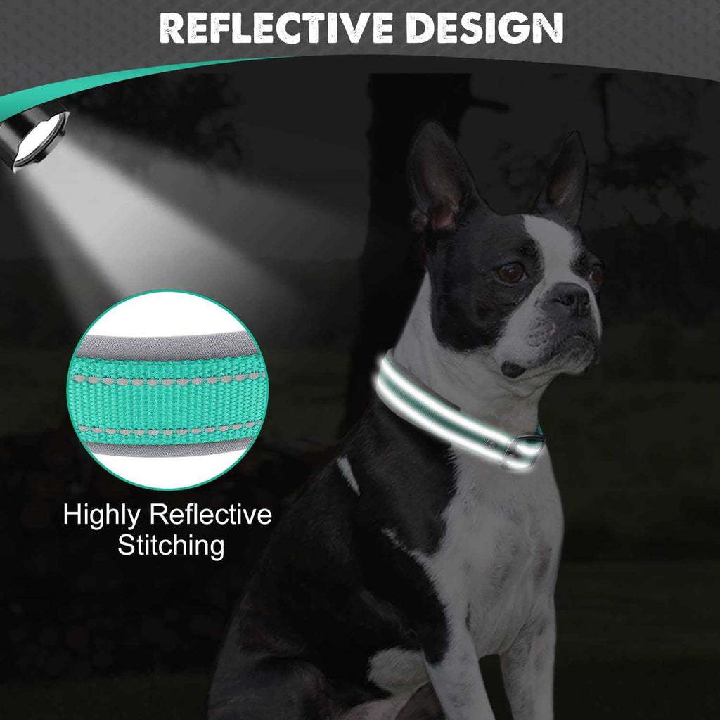Reflective Neoprene Padded Nylon Dog Collar H41151