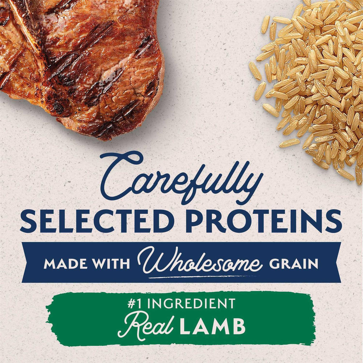 Lamb & Brown Rice Dry Dog Food V714928