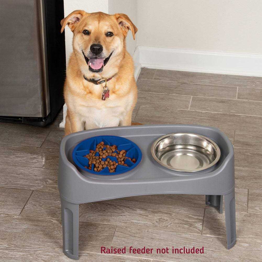 Slow Feeder Dog Bowl with Feeder Holes M576978