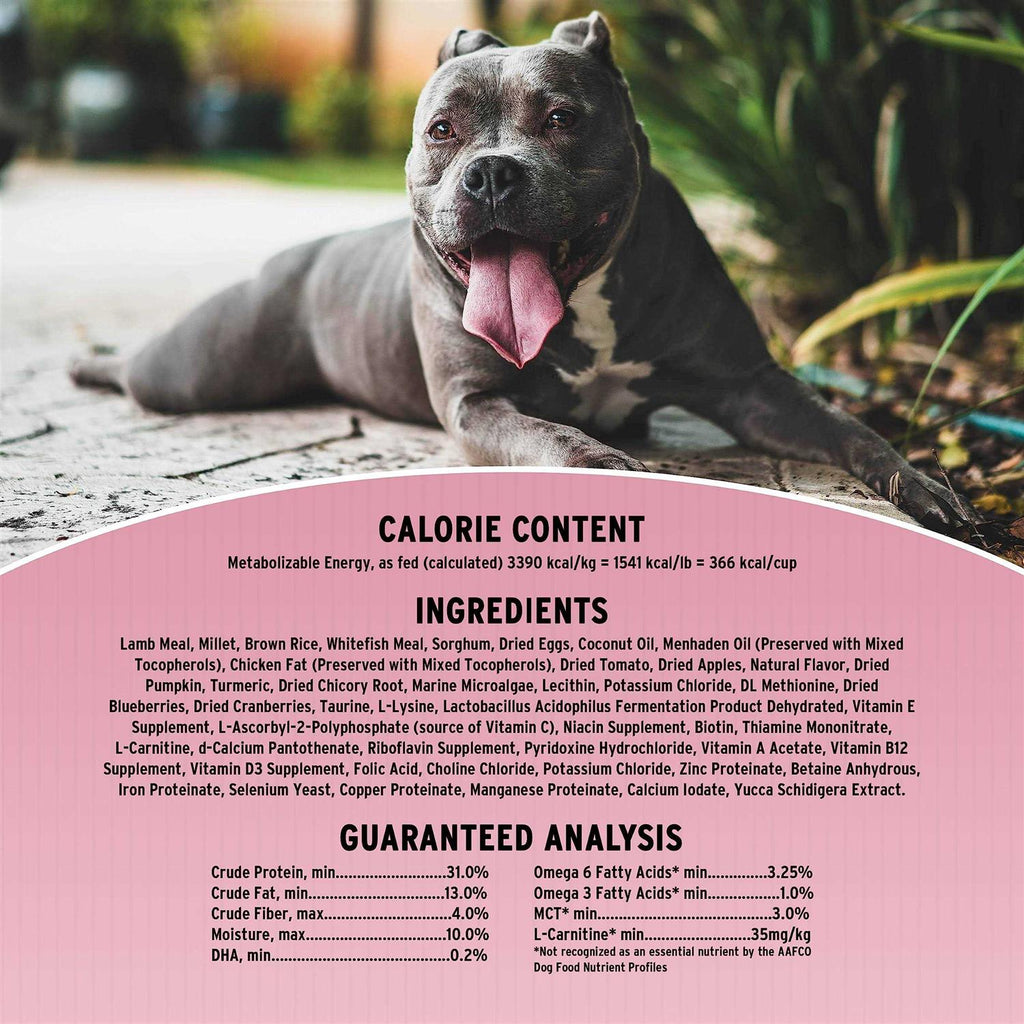 Sensitive Skin & Stomach Dry Dog Food W4596