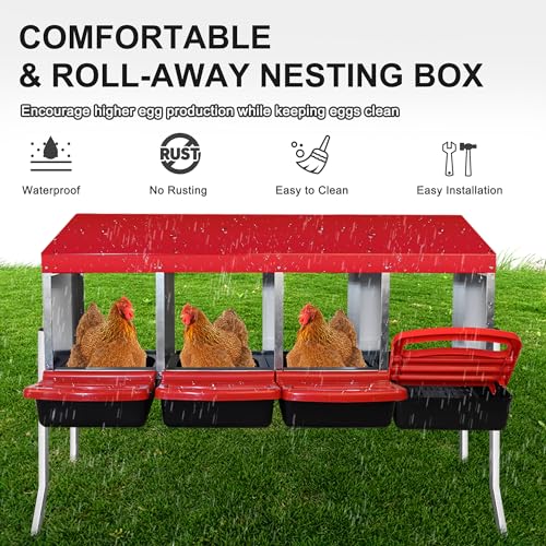 4 Compartment Heavy Duty Chicken Nesting Boxes with Perch D840
