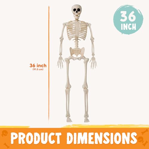 36" Posable Hanging Skeleton T746814