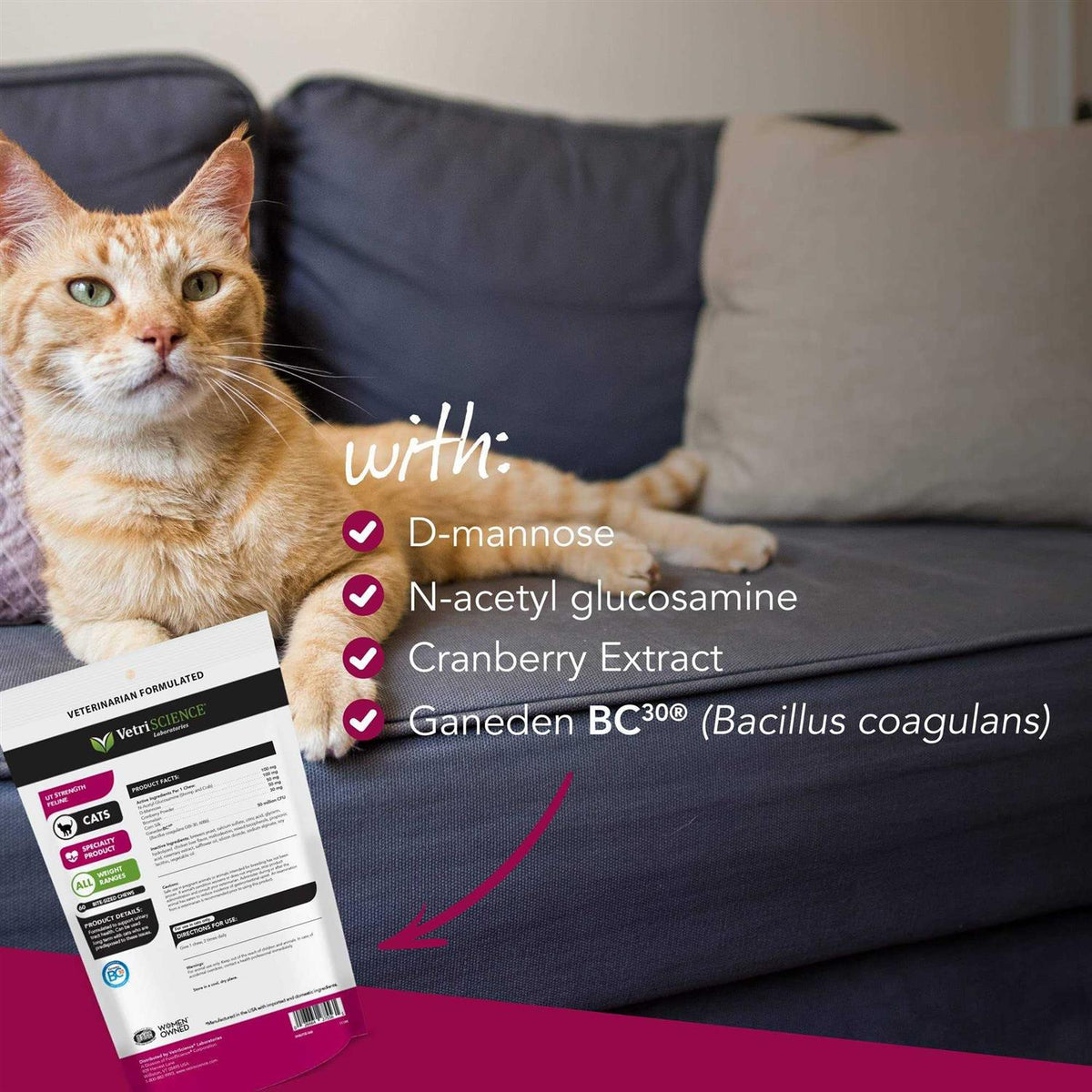 Cat Supplement U893
