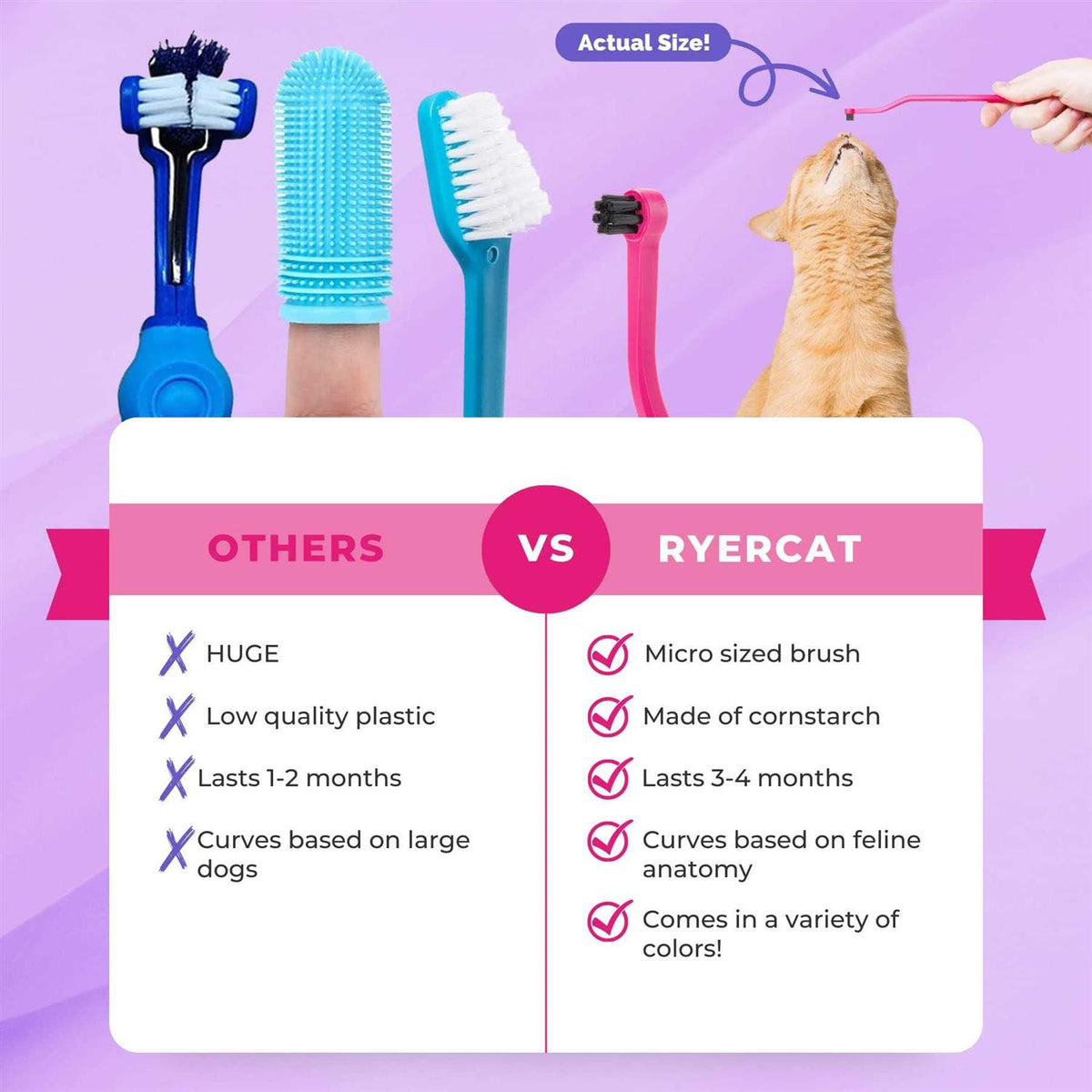 Dual Sided Cat Toothbrush M588832