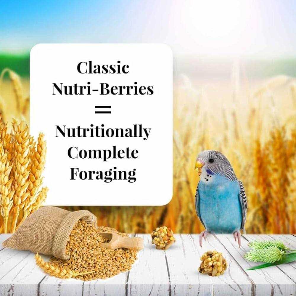 Nutri Berries Food G6555