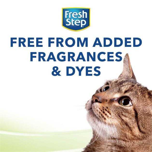 Unscented Clumping Cat Litter Y3323