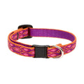 Cat Safety Collar Y52144