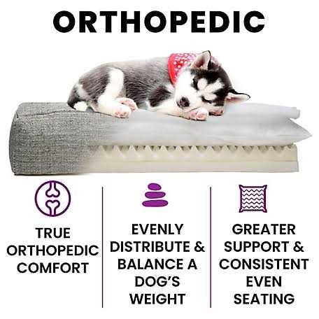 Orthopedic Dog Bed G56516