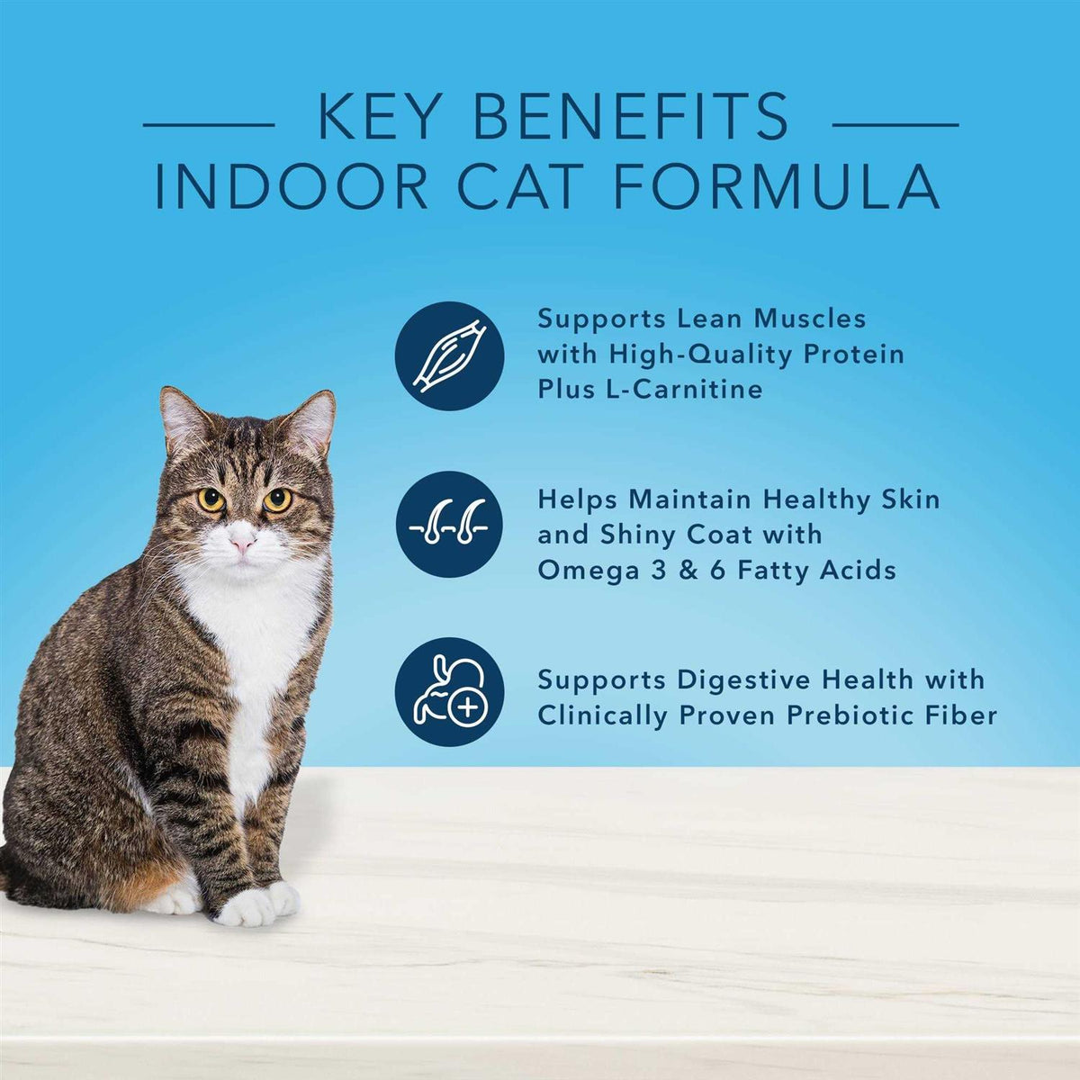 Natural Chicken Indoor Adult Dry Cat Food X215