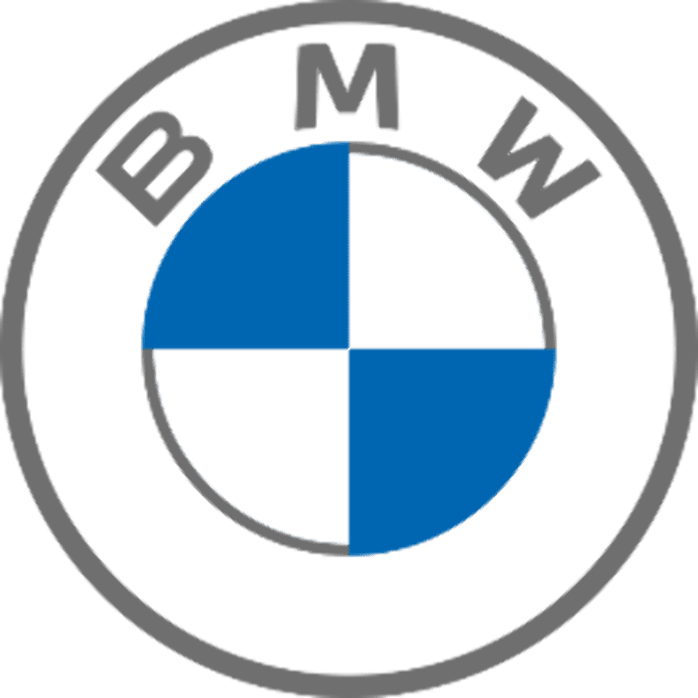 BMW Side Window Rigid Rear Rig W704787