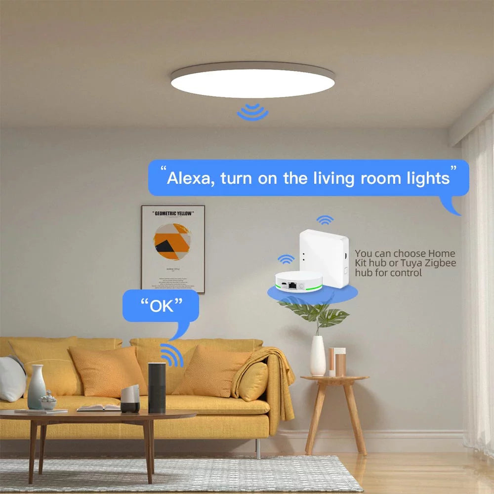 24W Smart LED Ceiling Light L241214
