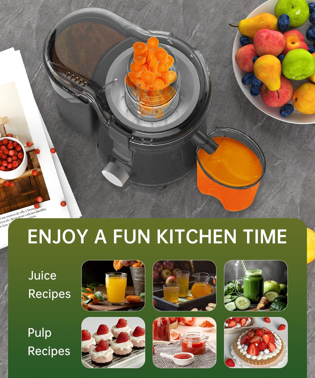 500W Stainless Steel Juicer with 3 Inch Wide Chute D907