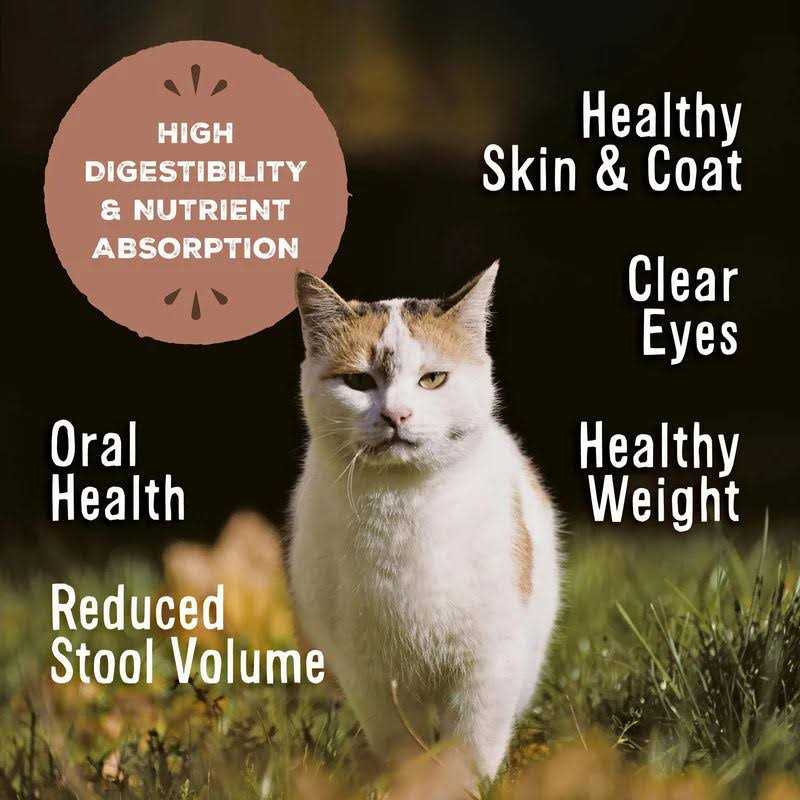 Freeze-Dried Feline Nuggets K3902
