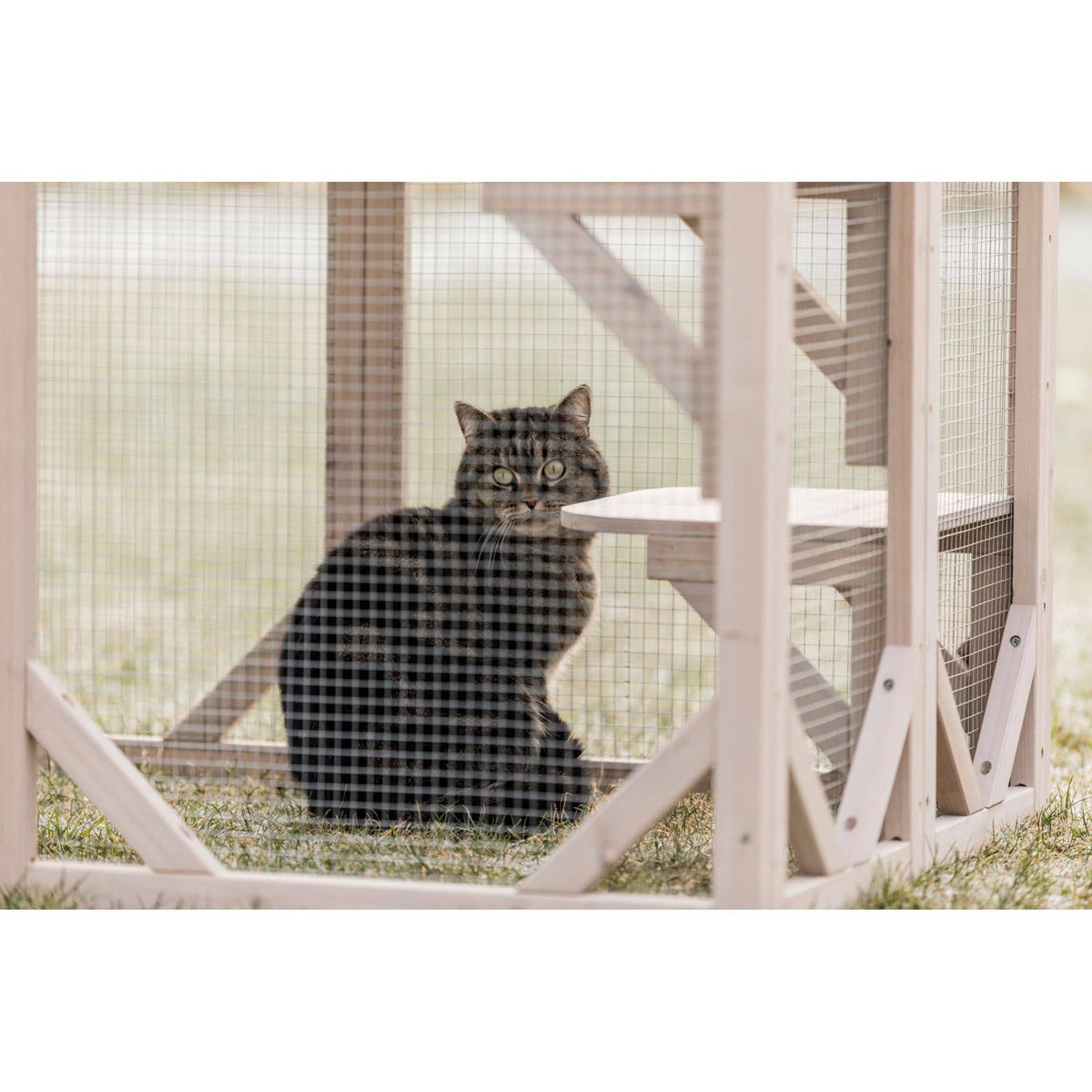 Wooden Cattery Grey L96168