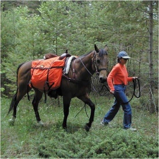 Brown Saddle Panniers G75035