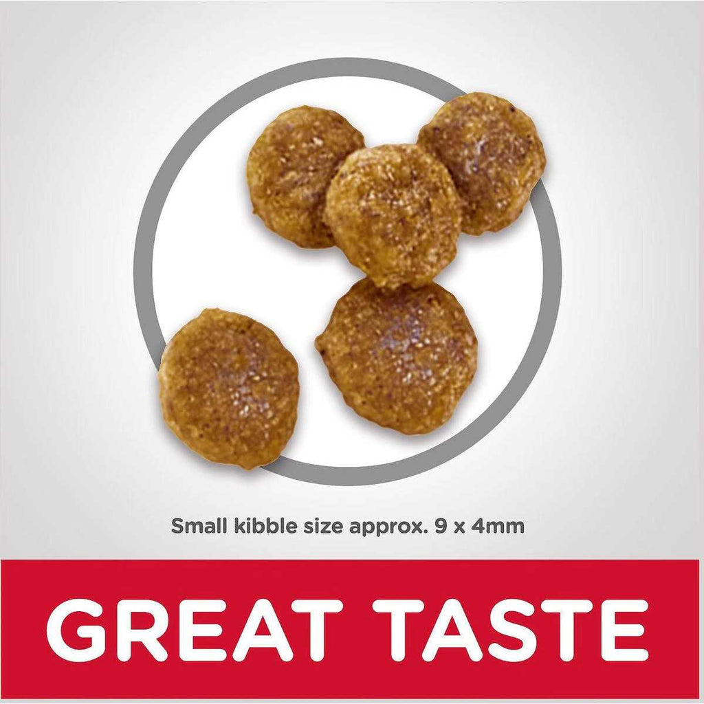 Dog Food Recipe Q588944