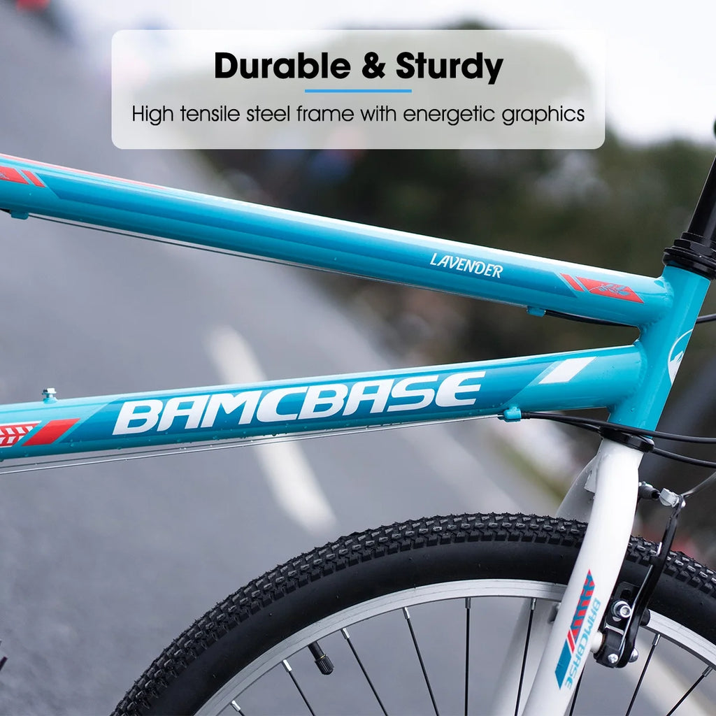 24 26 inch Mountain Bike 21 Speeds E398