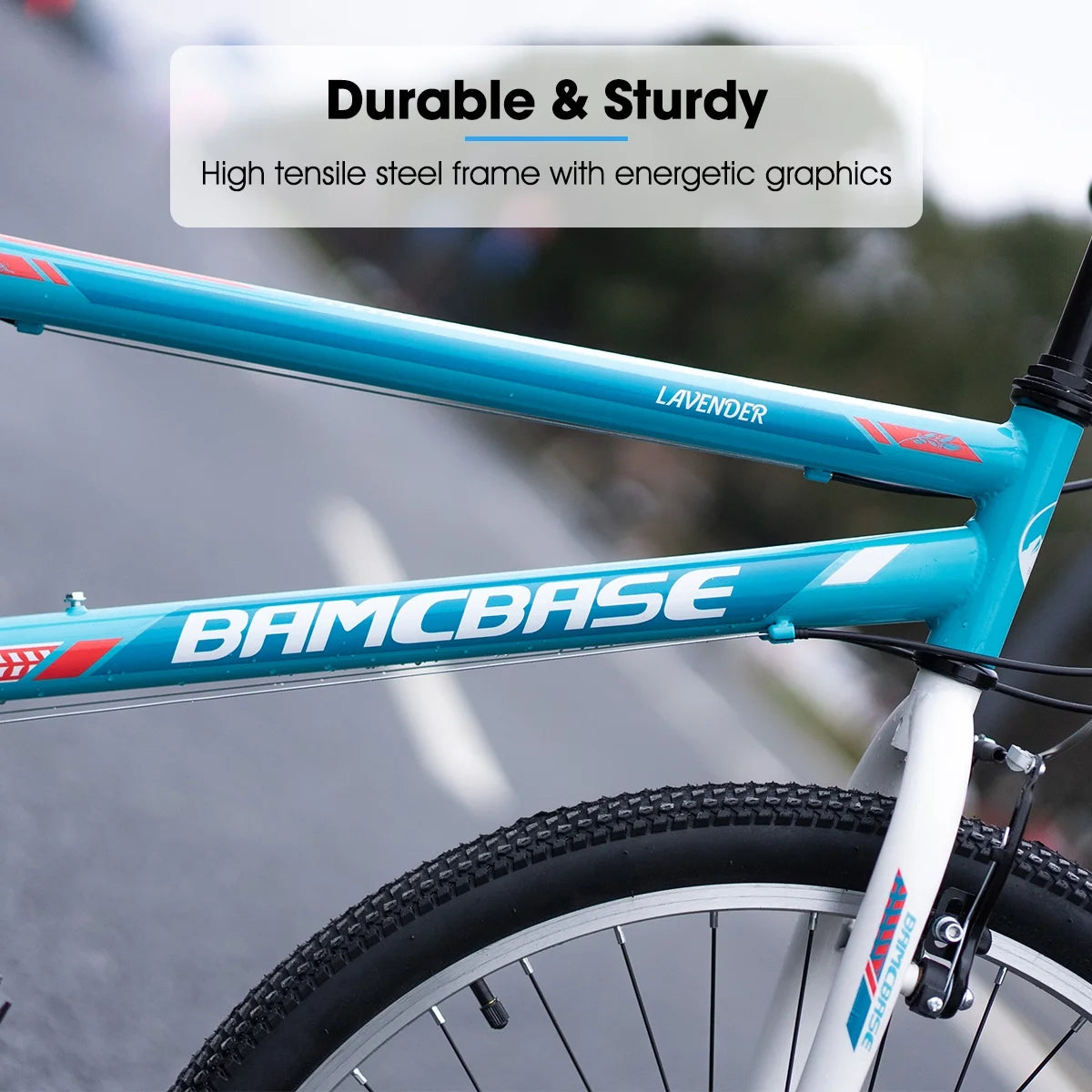24 26 inch Mountain Bike 21 Speeds E398
