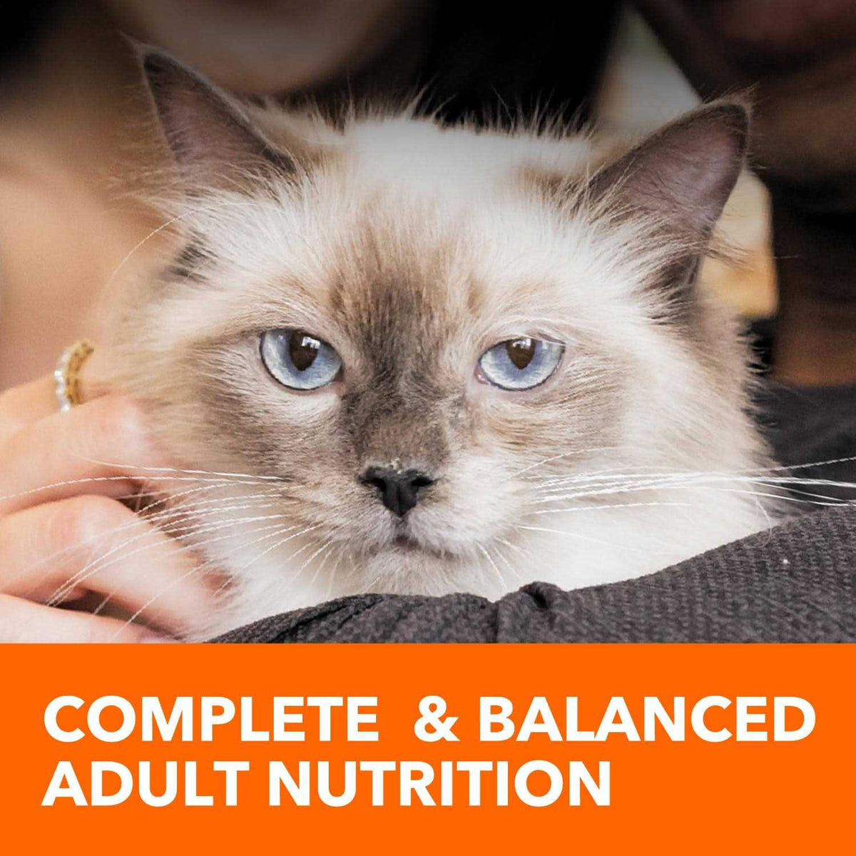 Adult Cat Food L55917