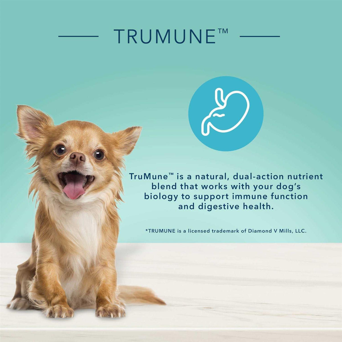 Natural Small Breed Adult Dry Dog Food U52135