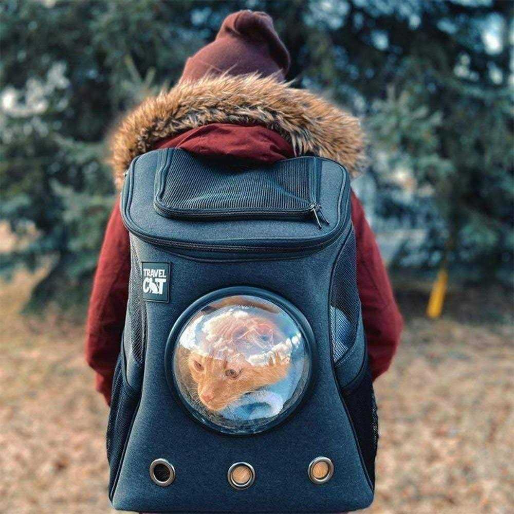 Cat Backpack B129