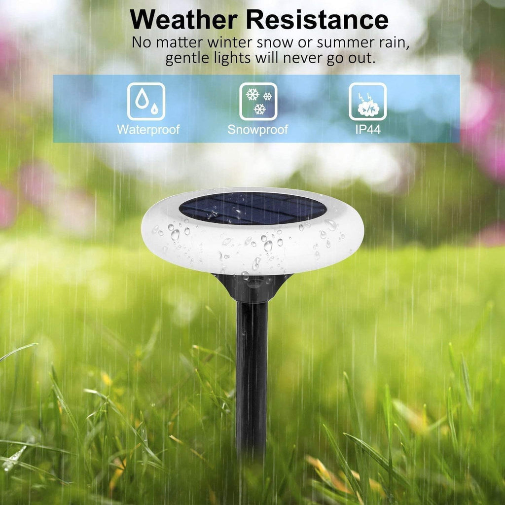 7 Color Solar Pathway Lights (4Pack) W26213