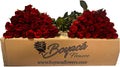 50 fresh long stem roses 19.7" D556