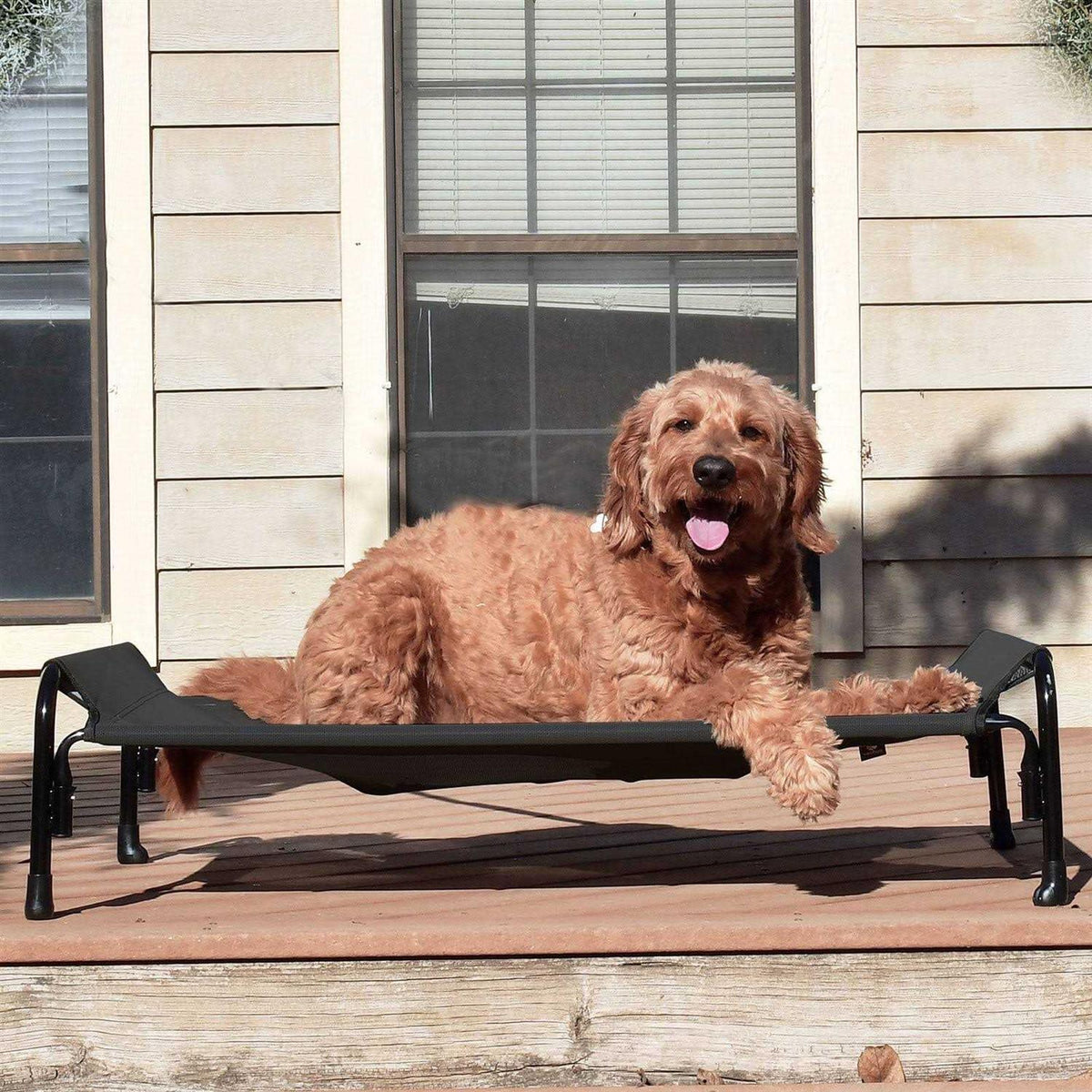 Elevated Dog Bed with Washable Mesh N596