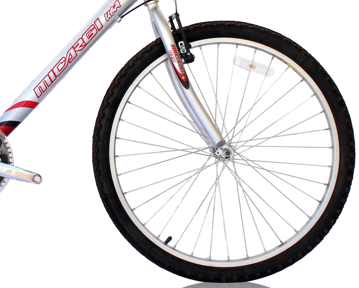 26 Inch 18 Speed Steel Frame Mountain Bike U131702