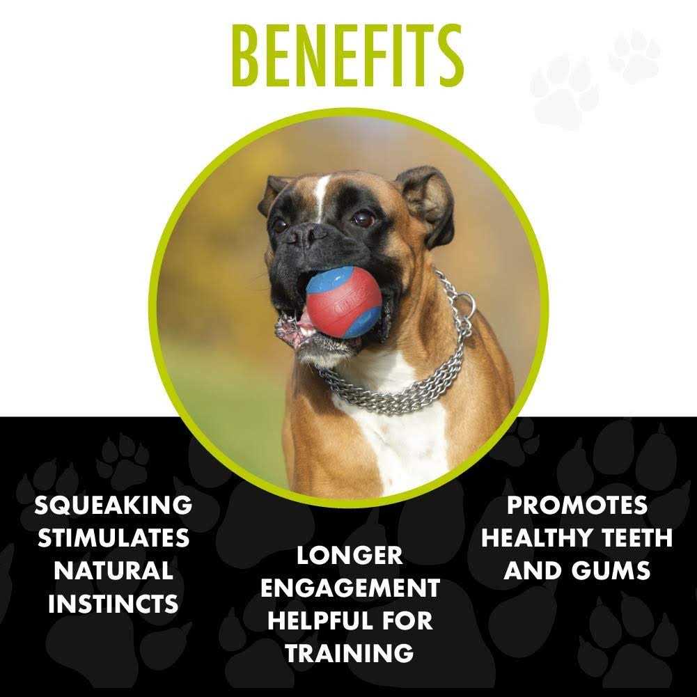 Armor Ball Dog Toy H95065