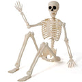 36" Posable Hanging Skeleton T746814