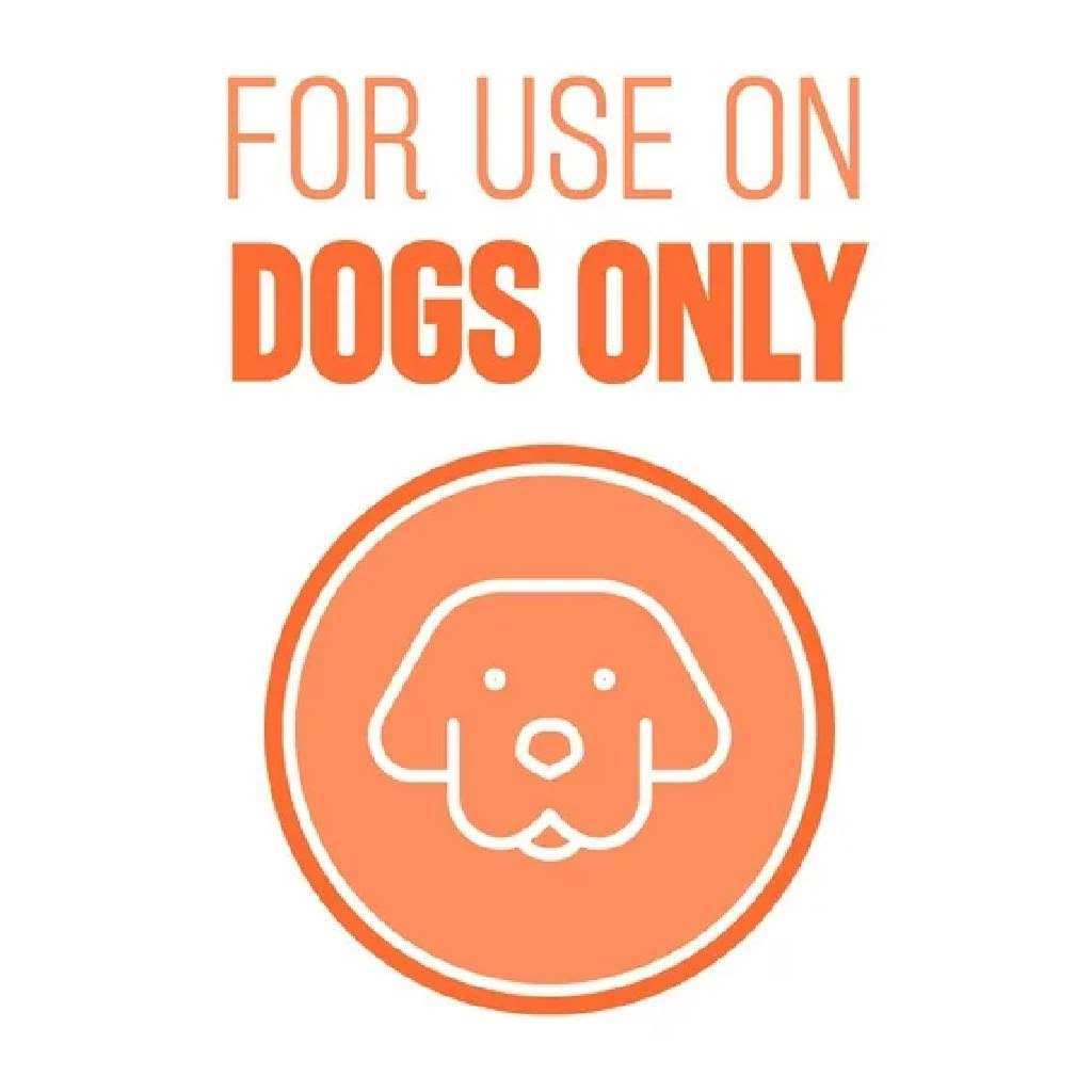Natural Flea & Tick Shampoo Q331