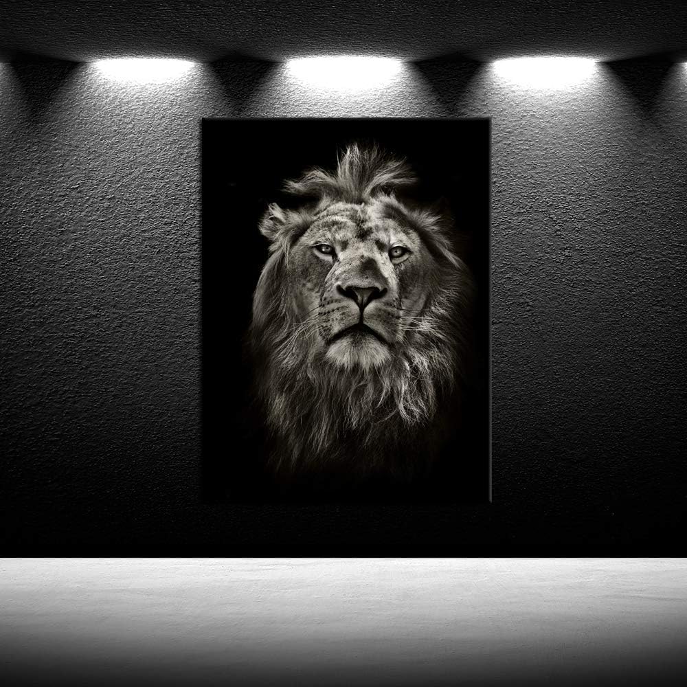 Black and White Lion Portrait Canvas Prints Stretched Wood Frame 24x32inch J205