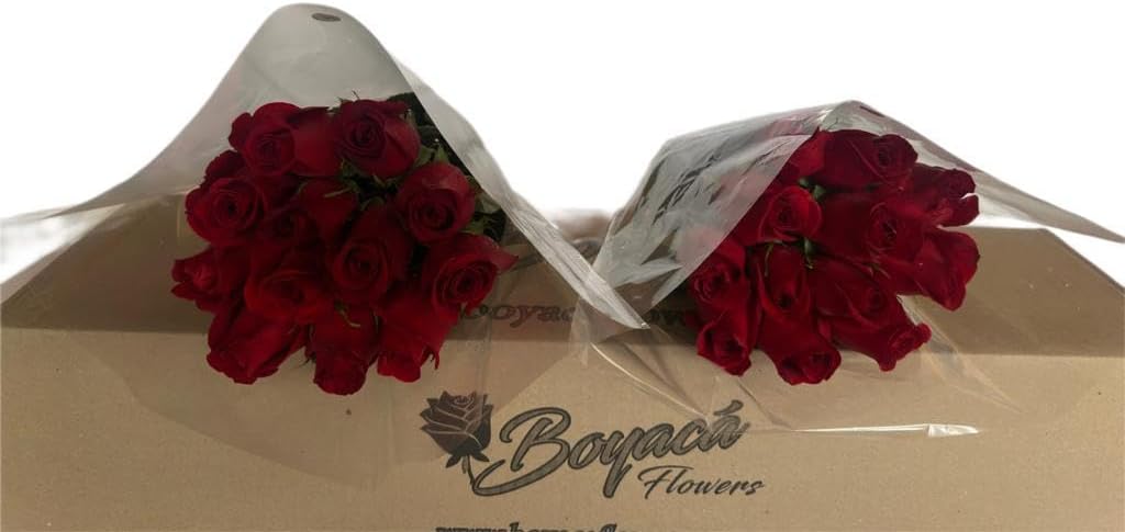 50 fresh long stem roses 19.7" D556