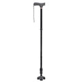 Cane F4542