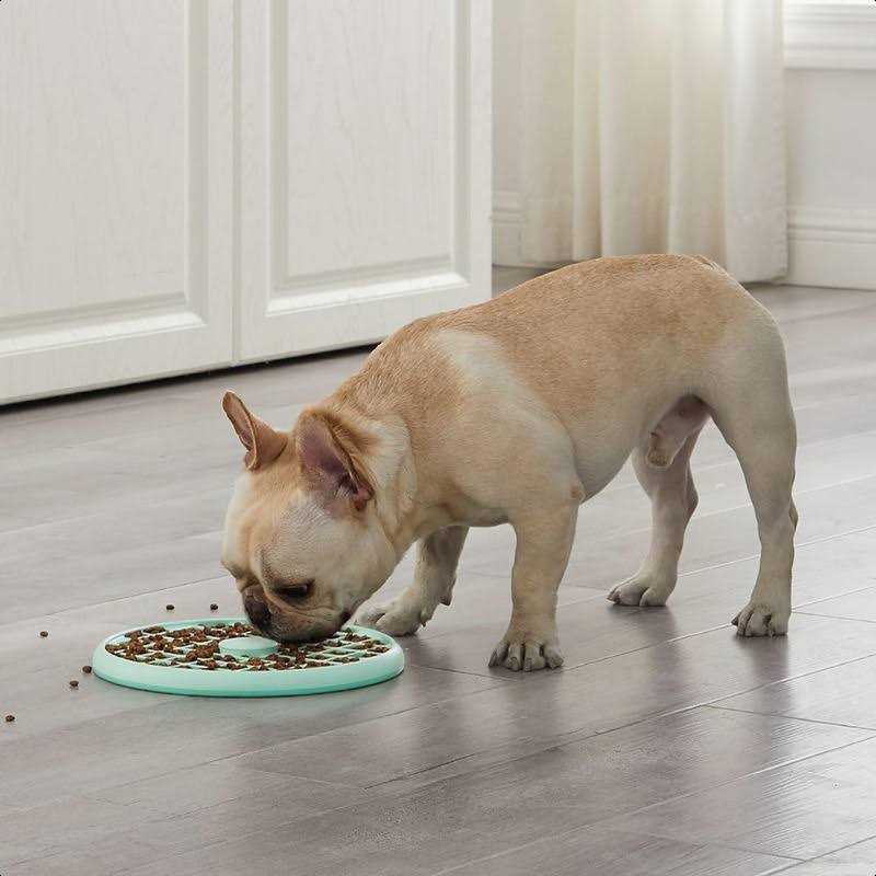 Slow Feeder Dog Bowl U227