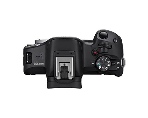 Mirrorless Camera I195