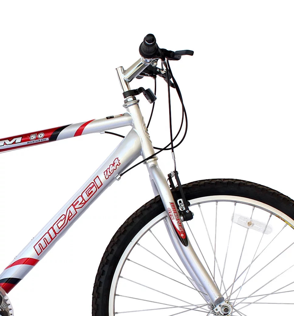 26 Inch 18 Speed Steel Frame Mountain Bike U131702