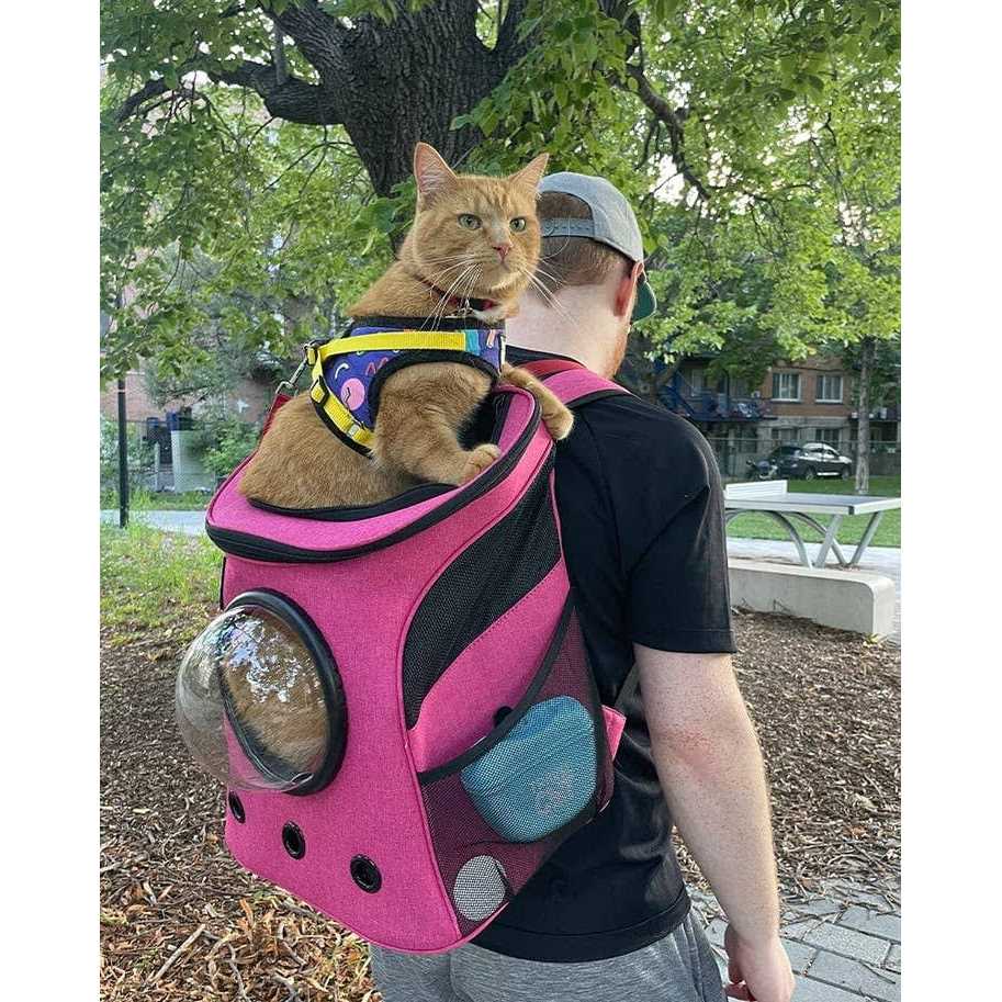 Cat Backpack B129