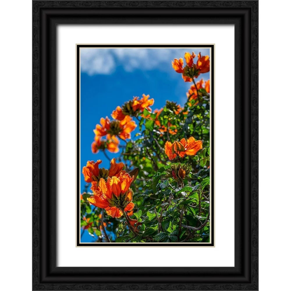 Black Ornate Wood Framed Art Print Z245
